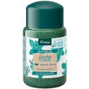 Kneipp sůl do koupele Goodbye Stress 500 g