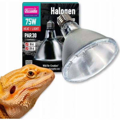 Arcadia Halogen Sun Basking Spot 75 W – Zbozi.Blesk.cz