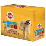 Pedigree Junior kuřecí 12 x 100 g – Sleviste.cz