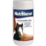 Nutri Horse Elektrolyt plv. 3 kg – Hledejceny.cz