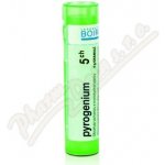 PYROGENIUM POR 5CH GRA 4G – Hledejceny.cz