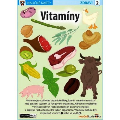 Euromedia new Vitamíny - Naučná karta – Zboží Mobilmania