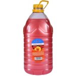 Vione tekuté mýdlo s perletí růžové Broskev 5 l – Zboží Dáma