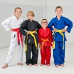 Kimono Karate Blitz Student PC – Hledejceny.cz