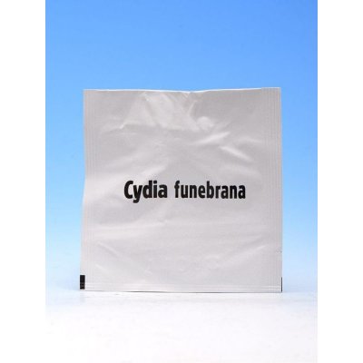 Propher Lapač feromon obaleč švestkový NÁPLŇ 1 ks – Zboží Mobilmania