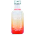 Absolut Apeach 40% 0,05 l (holá láhev) – Hledejceny.cz