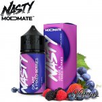Nasty Juice ModMate Shake & Vape Grape Mix Berries 20 ml – Zboží Mobilmania