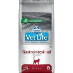 Vet Life Natural Cat Gastro Intestinal 2 kg – Sleviste.cz