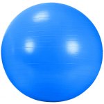 DMA AGB 434BL Rehabilitační míč GYM BALL 65 cm – Hledejceny.cz