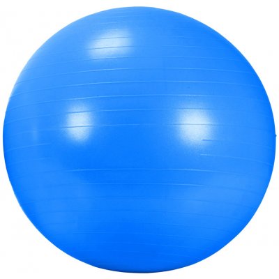 DMA AGB 434BL Rehabilitační míč GYM BALL 65 cm – Hledejceny.cz