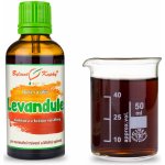 Bylinné kapky Levandule Duše rostlin tinktura 50 ml – Hledejceny.cz