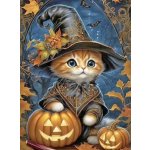 Norimpex diamantový obrázek kočka halloween 30 x 40 cm – Hledejceny.cz