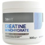 OstroVit Creatine Monohydrate, 300 g – Zboží Mobilmania