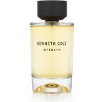 Kenneth Cole Intensity toaletní voda unisex 100 ml – Hledejceny.cz