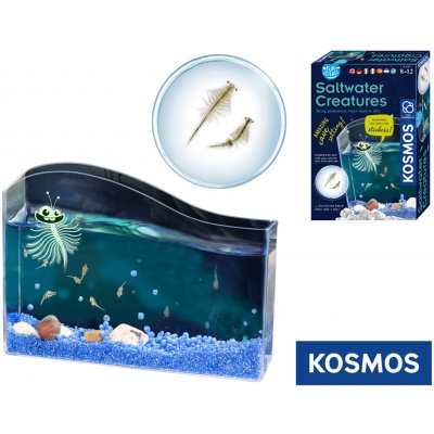 Kosmos Vzdělávací sada Mořská stvoření – Hledejceny.cz