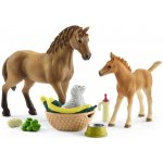 Schleich 42432 Set hříbě a Quarter kůň se štěňátkem a doplňky – Zboží Mobilmania