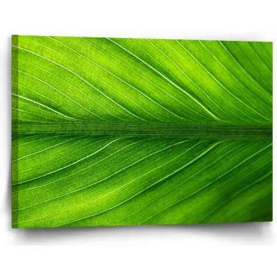 Sablio Obraz List 2 - 120x80 cm – Hledejceny.cz