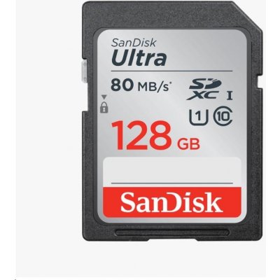 SanDisk SDXC UHS-I 128 GB SDSDUNR-128G-GN3IN – Zbozi.Blesk.cz