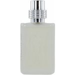 Cerruti 1881 toaletní voda pánská 25 ml – Hledejceny.cz