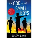 God of All Small Boys Lamb JosephPaperback – Hledejceny.cz