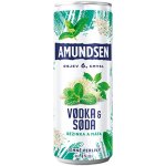 Amundsen + Soda bezinka 6% 0,25 l (plech) – Zboží Dáma