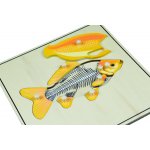 Montessori B018 Puzzle s kostrou ryba – Sleviste.cz