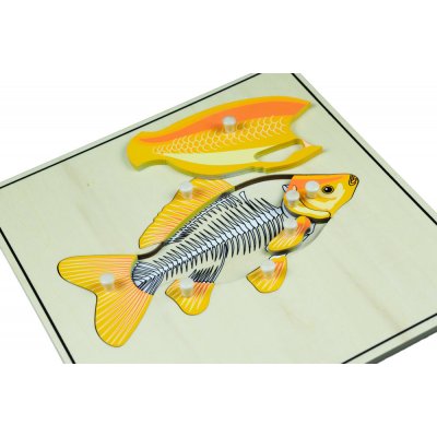 Montessori B018 Puzzle s kostrou ryba – Sleviste.cz