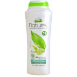Winni´s Naturel Gel Doccia Thé Verde sprchový gel 250 ml – Hledejceny.cz