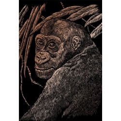 Škrabací obrázek měděný Opice