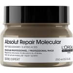 L'ORÉAL PROFESSIONNEL Serie Expert Absolut Repair Molecular 250 ml – Hledejceny.cz
