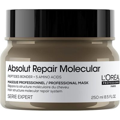 L'ORÉAL PROFESSIONNEL Serie Expert Absolut Repair Molecular 250 ml – Hledejceny.cz