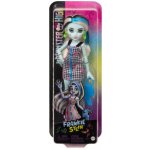 Mattel Monster High Fashion Frankie Stein – Hledejceny.cz