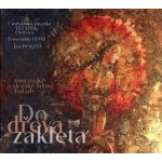 CM Technik Ostrava a Flair - Do dřeva zakletá 2 CD – Hledejceny.cz