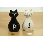 Master Kořenka Kočička sůl a pepř – Zboží Mobilmania