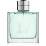 Dunhill Fresh toaletní voda pánská 100 ml – Sleviste.cz