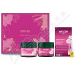 Weleda divoká růže a bílý čaj rozjasňující denní krém 40 ml + rozjasňující krém na noc 40 ml + intenzivní kúra 7 x 0,8 ml – Hledejceny.cz