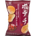 Koikeya Japonské chipsy s příchutí umeboshi, 100 g – Sleviste.cz