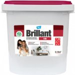 HET Brillant 100 40 KG – Zbozi.Blesk.cz