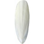 Sépiová kost 10 cm – Hledejceny.cz