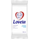 Lovela ubrousky na čištění povrchů 40 ks – HobbyKompas.cz