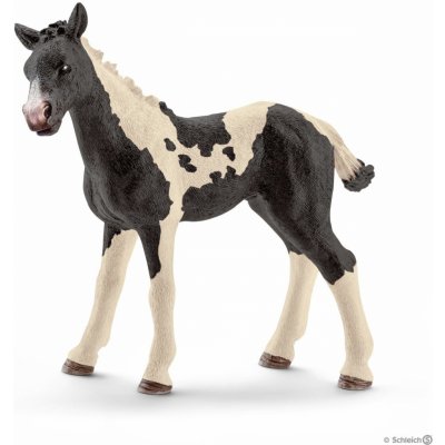 Schleich 13803 Pinto hříbě – Zbozi.Blesk.cz