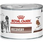 Royal Canin VD Fel / Can Recovery 195 g – Hledejceny.cz