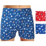 Andrie 2 Pack pánské bavlněné trenýrky PS5538 – Hledejceny.cz