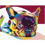 Zuty Malování podle čísel BAREVNÝ BULDOČEK – Zboží Mobilmania