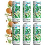 Coconaut Kokosová voda 320 ml – Zboží Dáma
