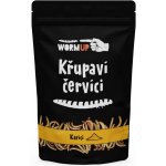 WormUP Křupaví červíci s kari 20 g – Zboží Dáma