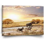 Sablio Obraz Safari - 90x60 cm – Hledejceny.cz