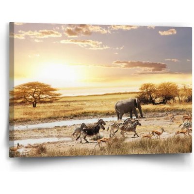 Sablio Obraz Safari - 90x60 cm – Hledejceny.cz