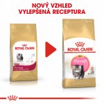 Royal Canin Persian Kitten 2 kg – Hledejceny.cz