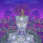 Erykah Badu - New Amerykah Part Two - Coloured LP – Hledejceny.cz